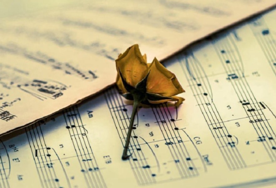 Singer Songwriter