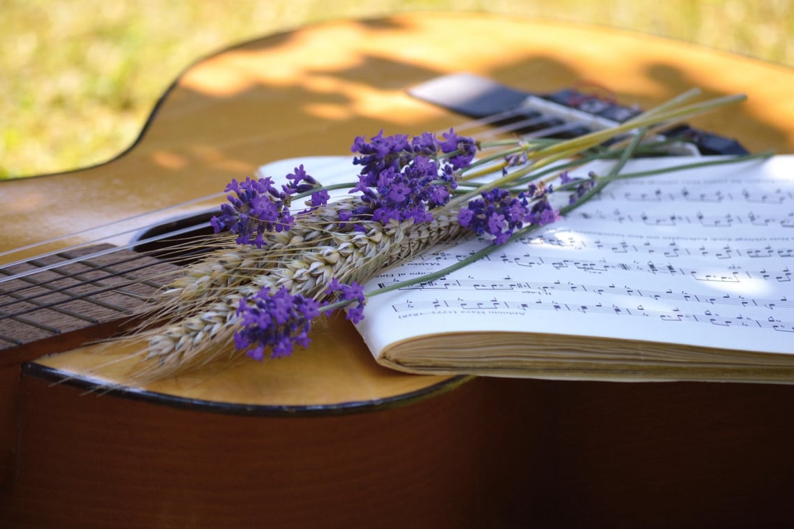 Singer Songwriter